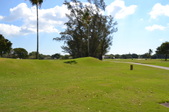 Enlarge photo 37