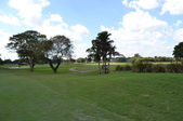 Enlarge photo 47