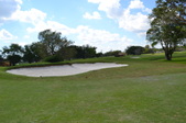 Enlarge photo 51
