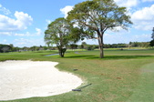 Enlarge photo 57