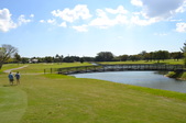Enlarge photo 59