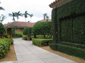 Enlarge photo 62