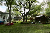 Enlarge photo 49