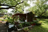 Enlarge photo 51