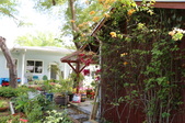 Enlarge photo 53