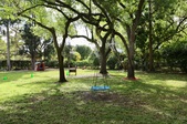 Enlarge photo 54
