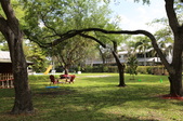 Enlarge photo 56
