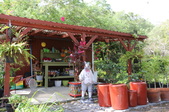 Enlarge photo 82