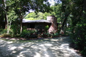 Enlarge photo 46