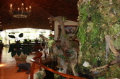 Enlarge photo 53