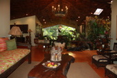 Enlarge photo 65