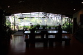 Enlarge photo 67