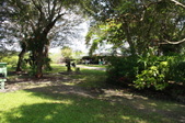 Enlarge photo 99