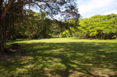 Enlarge photo 103