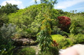 Enlarge photo 109
