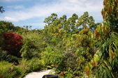 Enlarge photo 108