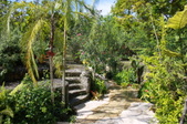 Enlarge photo 112
