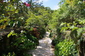 Enlarge photo 111