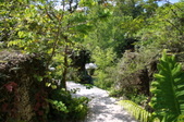 Enlarge photo 113