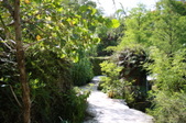 Enlarge photo 115