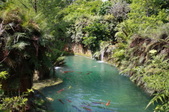Enlarge photo 114