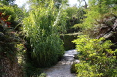 Enlarge photo 117