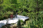 Enlarge photo 119