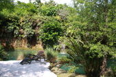Enlarge photo 121