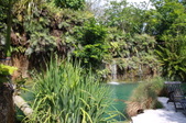 Enlarge photo 124