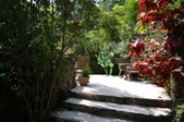 Enlarge photo 125