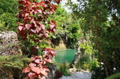 Enlarge photo 127