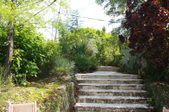 Enlarge photo 129