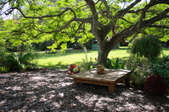 Enlarge photo 133