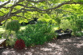 Enlarge photo 132