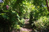 Enlarge photo 136