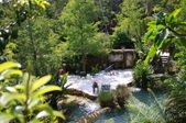 Enlarge photo 135