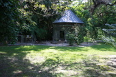 Enlarge photo 137