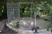 Enlarge photo 138