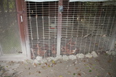 Enlarge photo 139