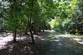 Enlarge photo 141