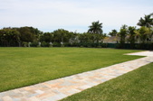 Enlarge photo 226