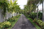 Enlarge photo 259