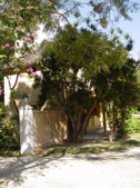 Enlarge photo 36
