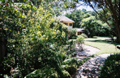 Enlarge photo 42