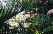 Enlarge photo 16