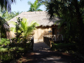 Enlarge photo 43