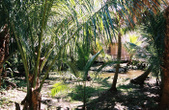 Enlarge photo 44