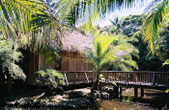 Enlarge photo 45