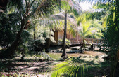 Enlarge photo 46