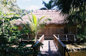 Enlarge photo 47
